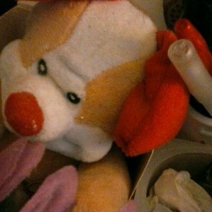 Meet your Posher, Lisa